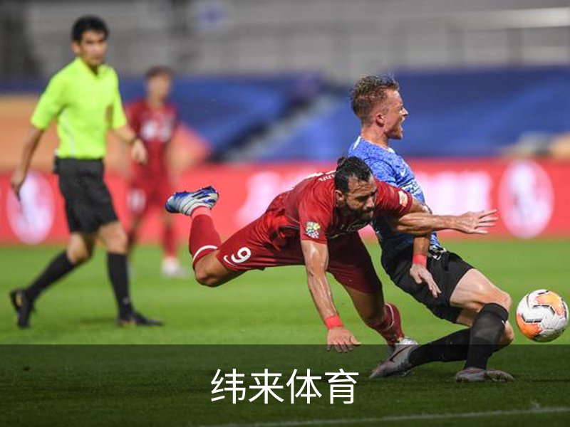 纬来体育介绍